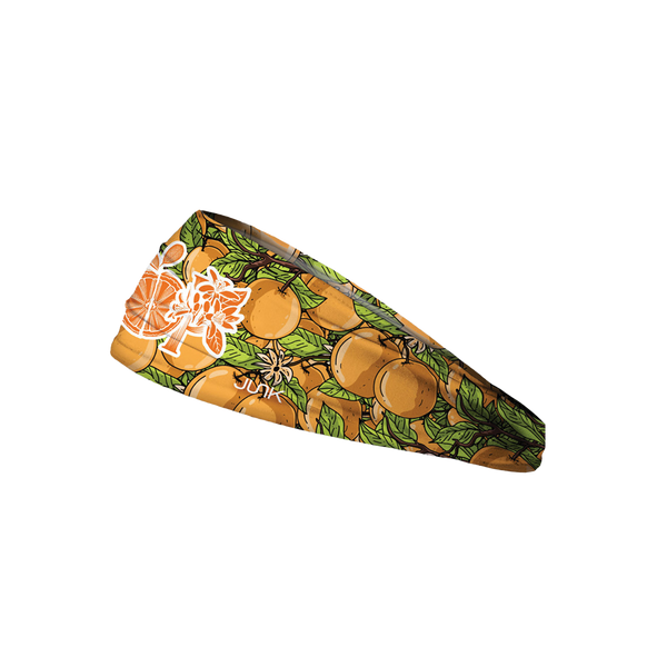 Citrus Hook Headband