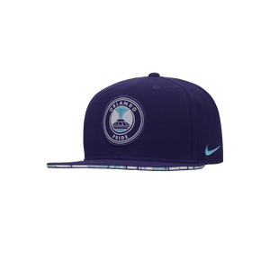 2025 Nike Primary Logo Snapback