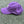 Orlando Pride x TOGETHXR EWWS Dad Hat