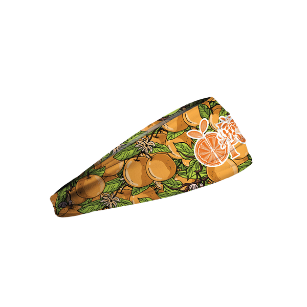 Citrus Hook Headband