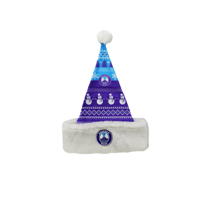 Pride Printed Santa Hat