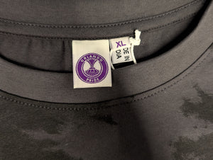 Unisex Primary Logo/Lake Eola Oversized Tee